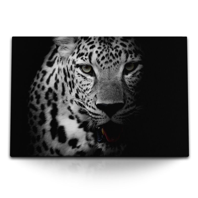 120x80cm Wandbild auf Leinwand Schwarz Weiß Tierfotografie Jaguar Raubkatze Raubtier