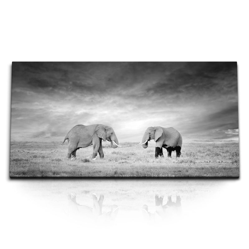 Kunstdruck Bilder 120x60cm Zwei Elefanten Schwarz Weiß Tierfotografie Afrika