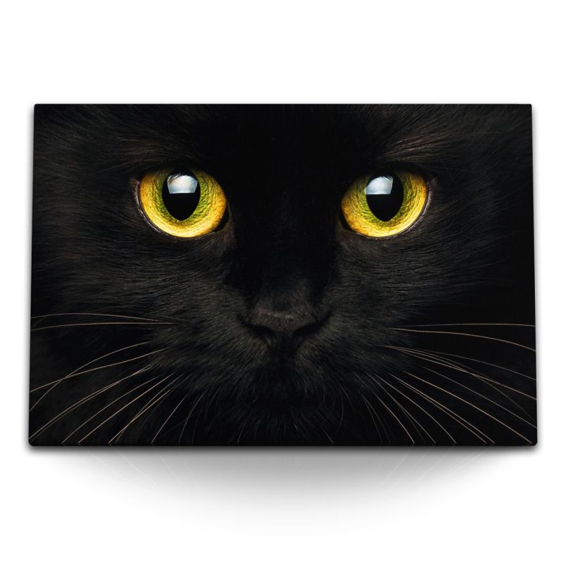 120x80cm Wandbild auf Leinwand Schwarze Katze grüne Katzenaugen Hauskatze Tierfotografie