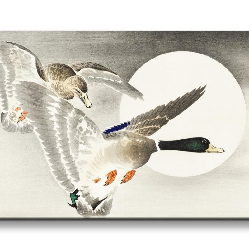 Remaster 120x60cm Ohara Koson traditionell japanische Kunst zwei Enten im Flug Vollmond