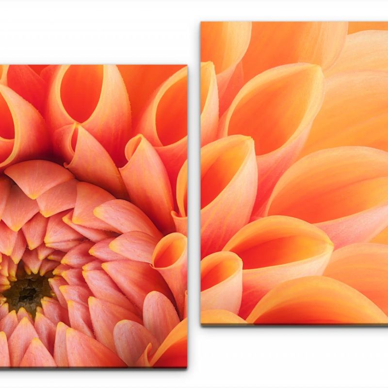 orange Blumenblüte Wandbild in verschiedenen Größen