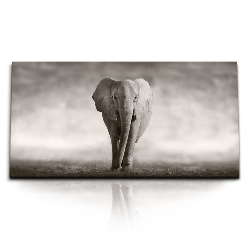 Kunstdruck Bilder 120x60cm Elefant Grau Tierfotografie Afrika Wildnis