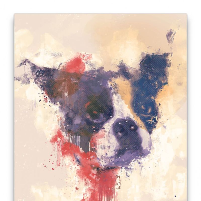 Boston Terrier Abstrakt Kunst Süßer Hund Niedlich 60x90cm Leinwandbild