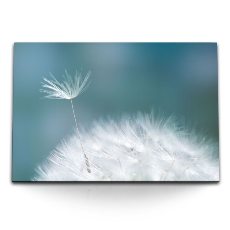 120x80cm Wandbild auf Leinwand Makrofotografie Pusteblume Kunstvoll Nahaufnahme