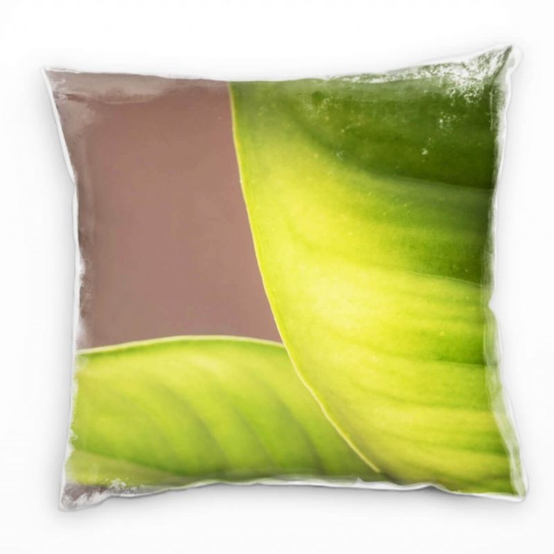 Macro, Natur, Blatt, grün, grau Deko Kissen 40x40cm für Couch Sofa Lounge Zierkissen