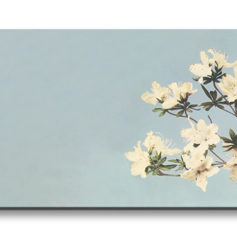 Remaster 120x60cm Ogawa Kazumasa berühmte Fotografie Blüten Frühling Wunderschön