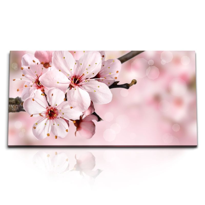 Kunstdruck Bilder 120x60cm Kirschblüte Blüte Frühling Ast Rosa Baumblüten