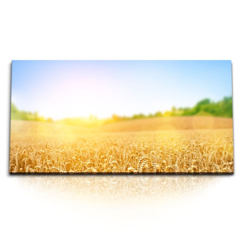 Kunstdruck Bilder 120x60cm Sommer Weizen Weizenfeld Feld blauer Himmel