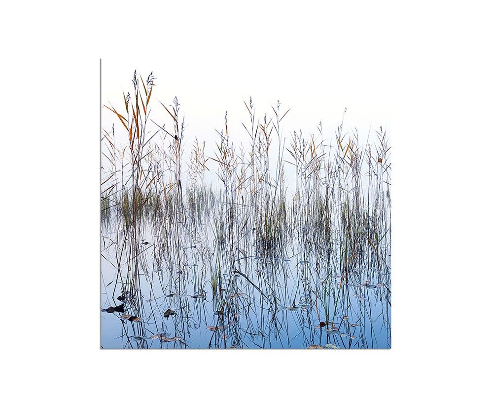 80x80cm Seegras See Wasser Nebel