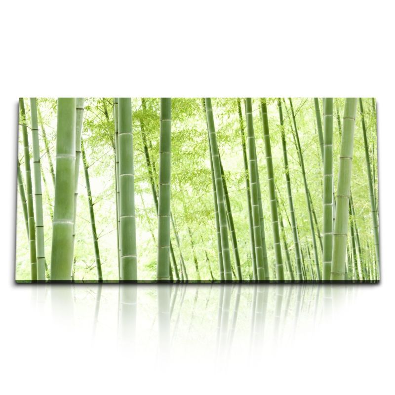 Kunstdruck Bilder 120x60cm Bambus Bambuswald Asien Natur Grün