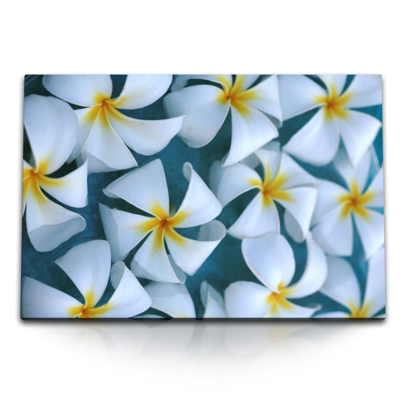 120x80cm Wandbild auf Leinwand Weiße Plumeria Blume Blüten Kunstvoll