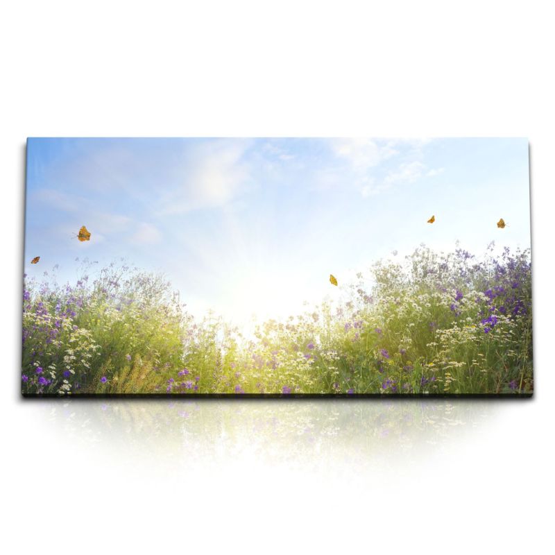 Kunstdruck Bilder 120x60cm Sommerwiese Blumen Gewächs Schmetterlinge Sonnenschein