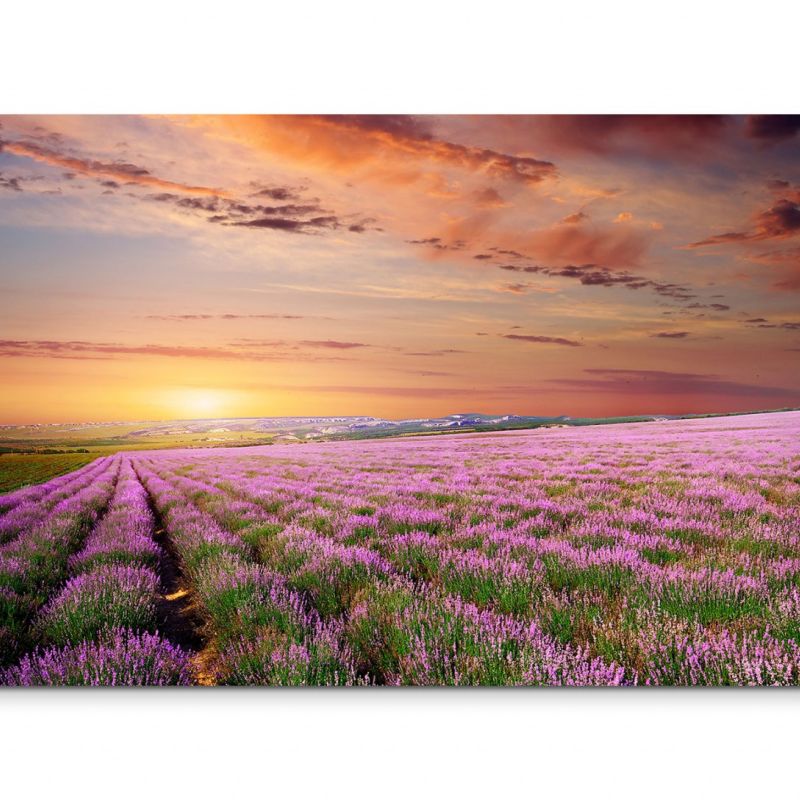 120x80cm Wandbild Lavendelfeld Abendrot Sonnenuntergang