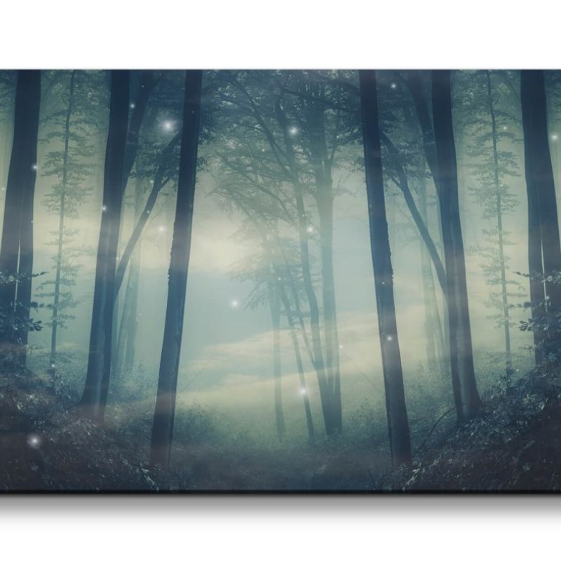 Leinwandbild 120x60cm Wald Glühwürmer Zauberhaft Natur Nebel Zauberhaft