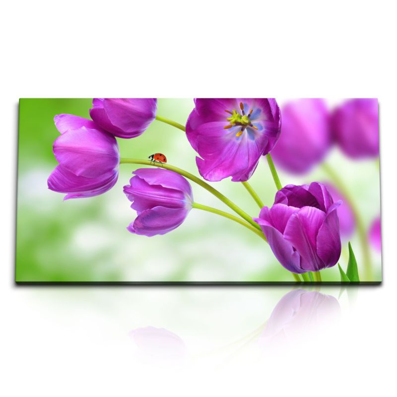 Kunstdruck Bilder 120x60cm Tulpen Blumen Blüten Schmetterlinge Lila Sommer