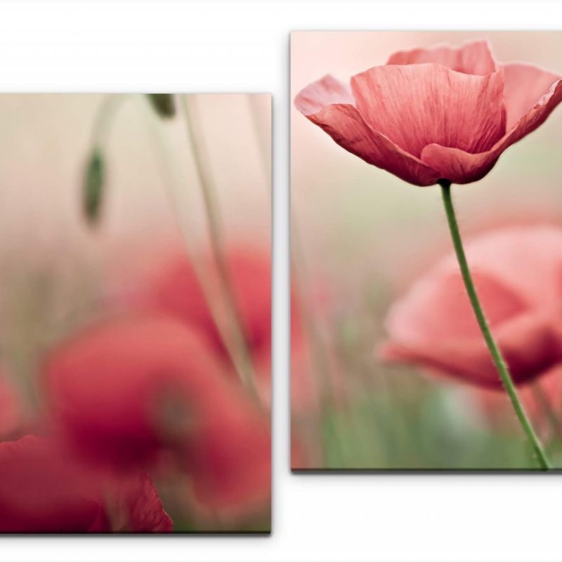 Pinke Blume Wandbild in verschiedenen Größen