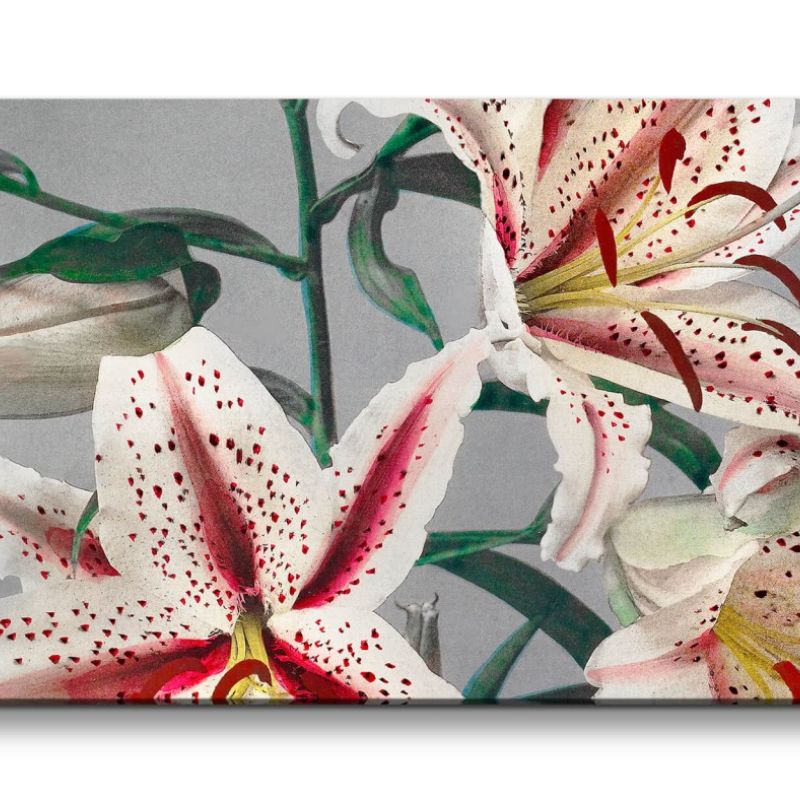 Remaster 120x60cm Ogawa Kazumasa berühmte Fotografie Lilien Blume Blüte Frühling Schön