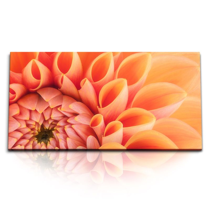 Kunstdruck Bilder 120x60cm Dahlie Blume Blüte Orange Nahaufnahme Kunstvoll