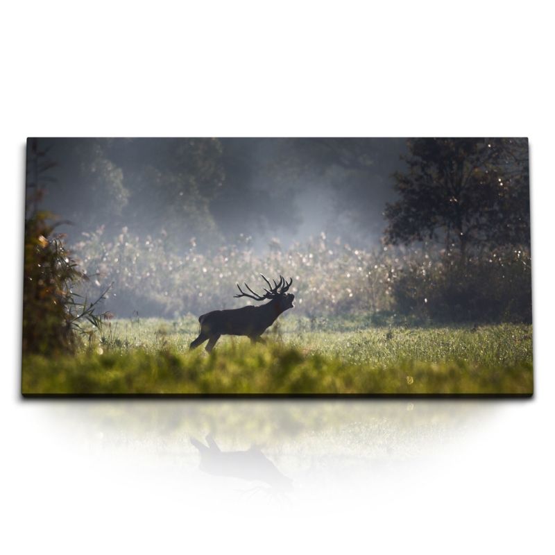 Kunstdruck Bilder 120x60cm Wald Natur Hirsch Tierfotografie Hirschbulle