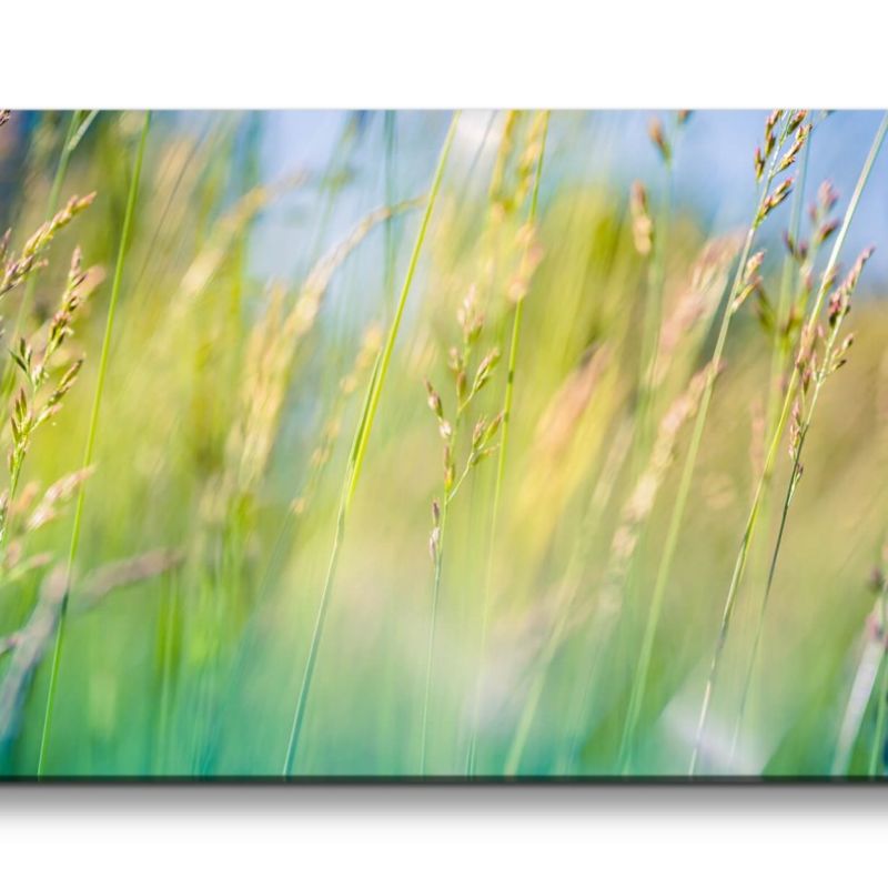 Leinwandbild 120x60cm Halme Weizenfeld Natur Grün Schön Sommer