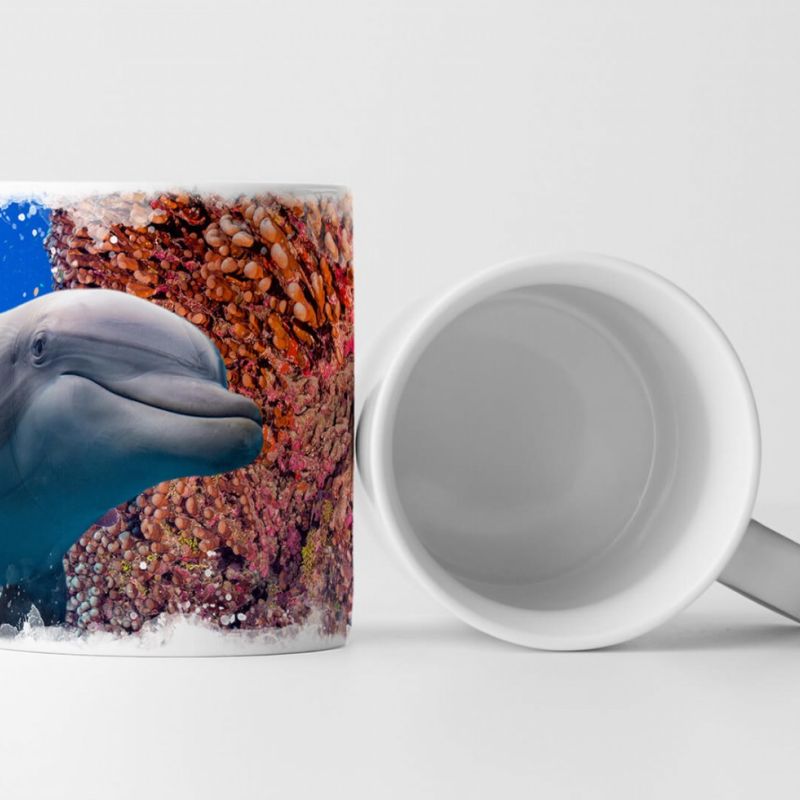 Tasse Geschenk Tierfotografie – Süßer Delfin neben buntem Korallenriff