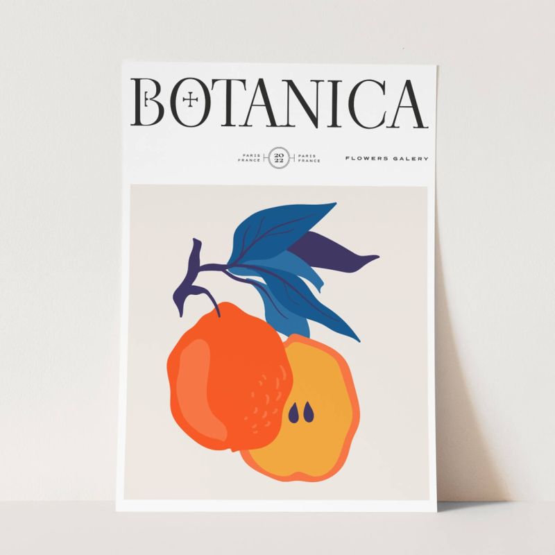 Botanica Wunderschöne Blumen Illustration Dekorativ Modern Farbenfroh