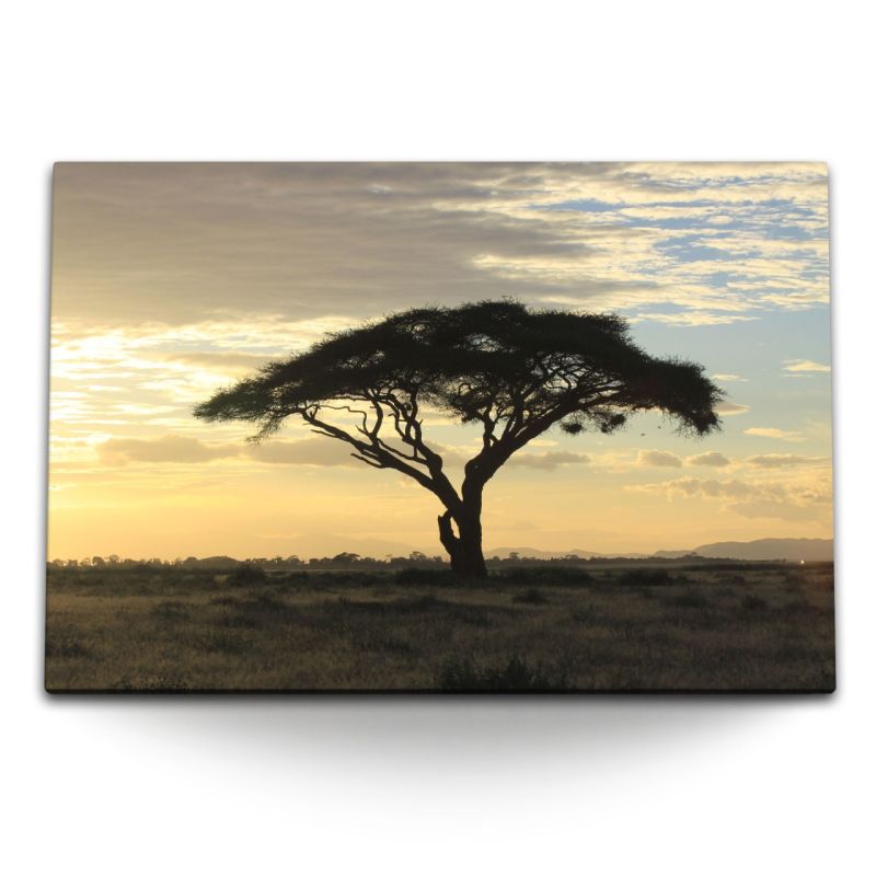 120x80cm Wandbild auf Leinwand Burkea africana Baum afrikanische Landschaft Abendröte