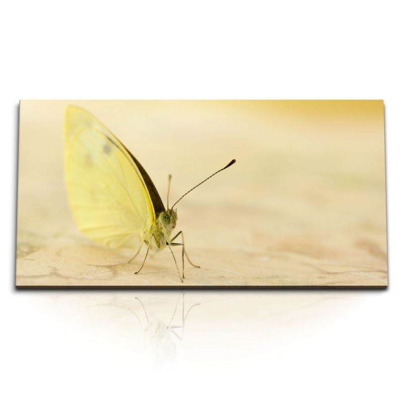 Kunstdruck Bilder 120x60cm Gelber Schmetterling Makrofotografie Fotokunst