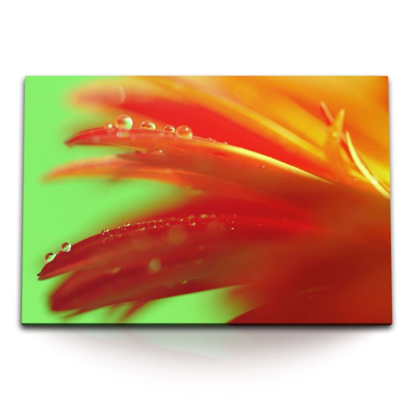 120x80cm Wandbild auf Leinwand Blume Blüte Orange Wassertropfen Makrofotografie