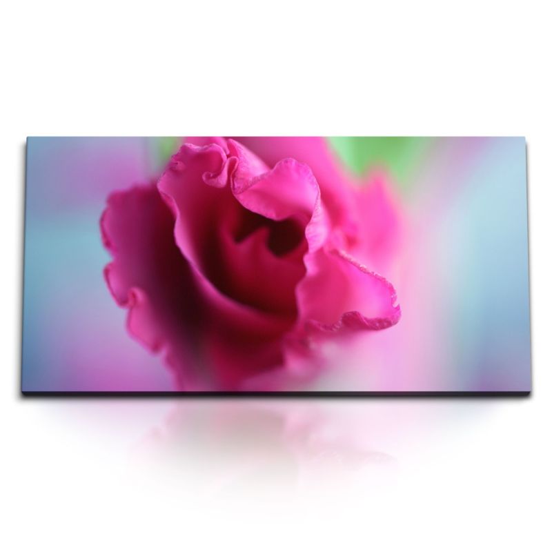 Kunstdruck Bilder 120x60cm Rosa Blume Blüte Nahaufnahme Kunstvoll