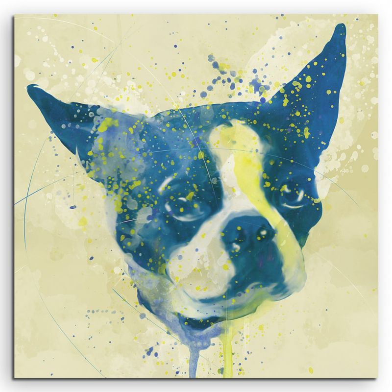 French Dog Aqua 60x60cm Wandbild Aquarell Art