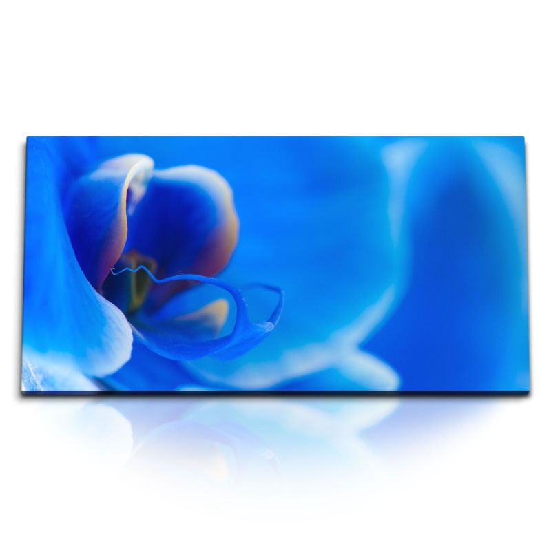 Kunstdruck Bilder 120x60cm Makrofotografie blaue Orchidee Blume Blüte