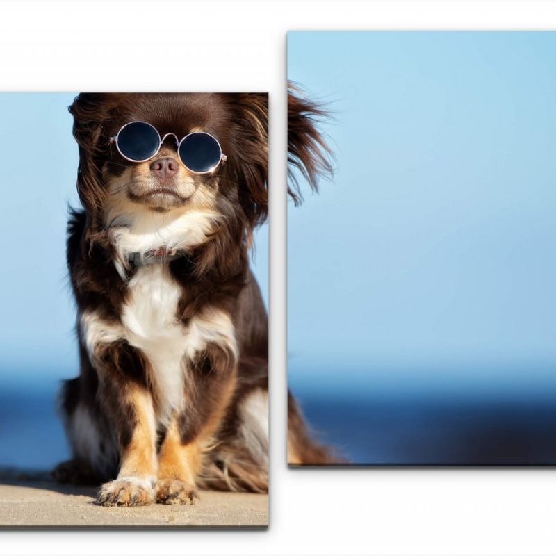 Hund mit Sonnenbrille Wandbild in verschiedenen Größen