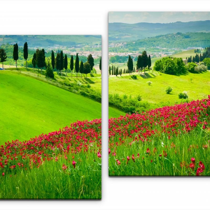 Berg mit roten Blumen Wandbild in verschiedenen Größen