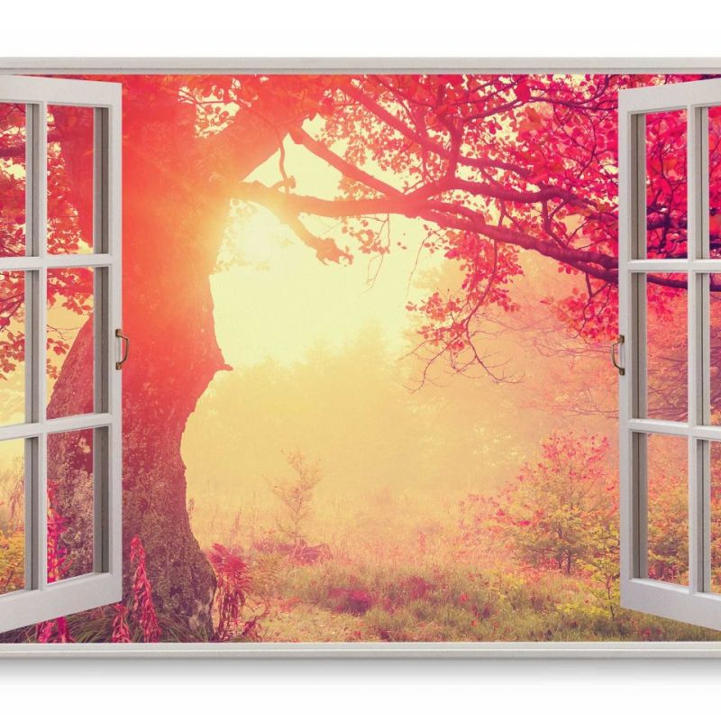 Wandbild 120x80cm Fensterbild Alter Baum Natur Abendrot Sonnenuntergang warmes Licht