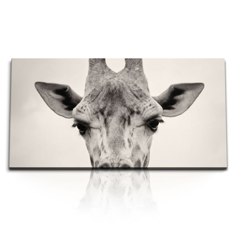 Kunstdruck Bilder 120x60cm Porträt Giraffe Tierfotografie Afrika Kunstvoll