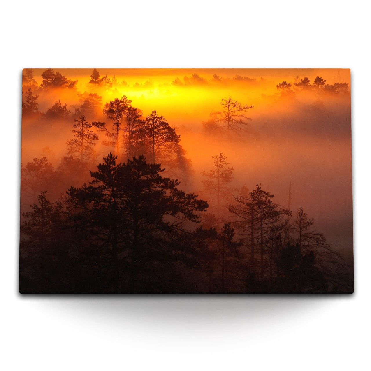 120x80cm Wandbild auf Leinwand Abenddämmerung Abendrot Nebel Wald Bäume Rot