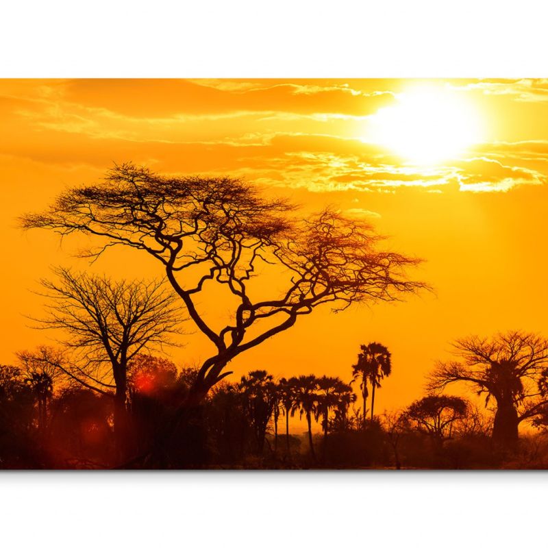 120x80cm Wandbild Afrika Bäume Savanne Sonnenuntergang