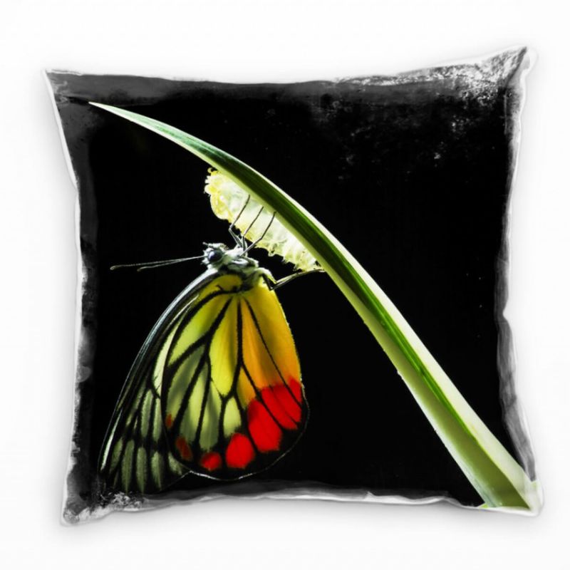 Macro, Tiere, grün, rot, Schmetterling Deko Kissen 40x40cm für Couch Sofa Lounge Zierkissen