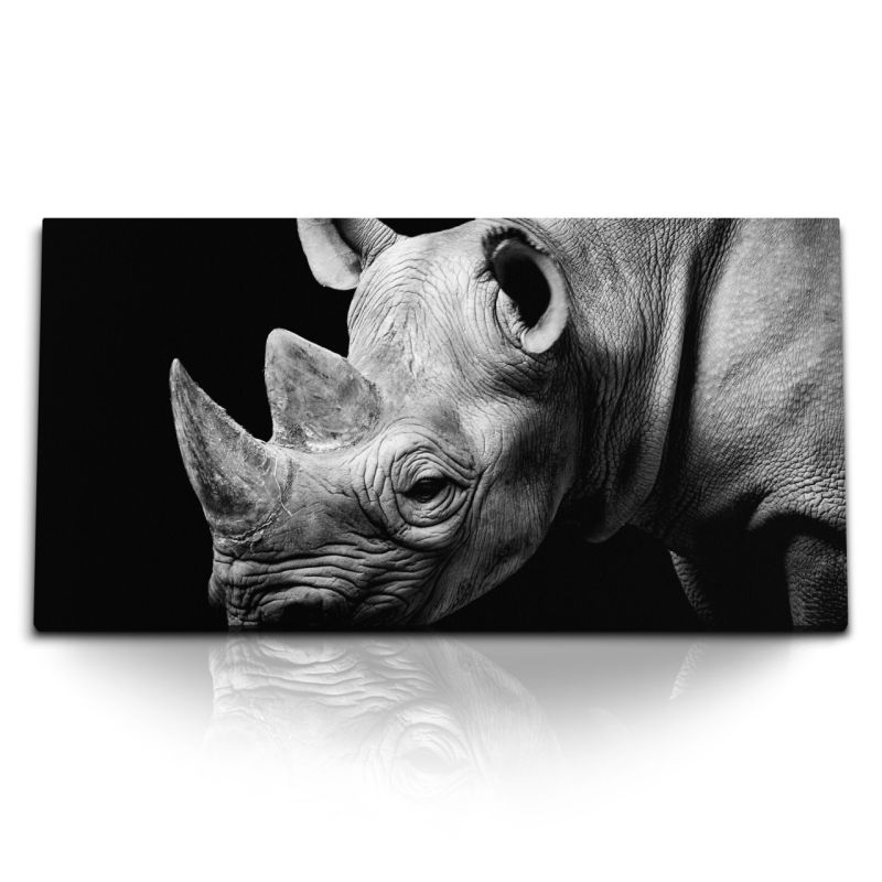 Kunstdruck Bilder 120x60cm Tierfotografie Nashorn Schwarz Weiß Kunstvoll