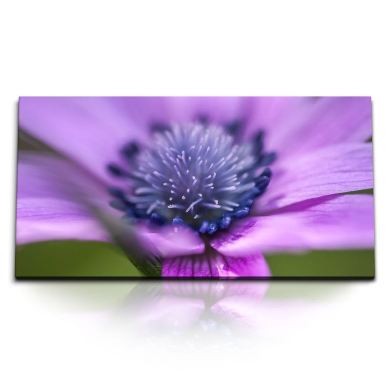 Kunstdruck Bilder 120x60cm Blume Blüte Violett Nahaufnahme Kunstvoll Natur