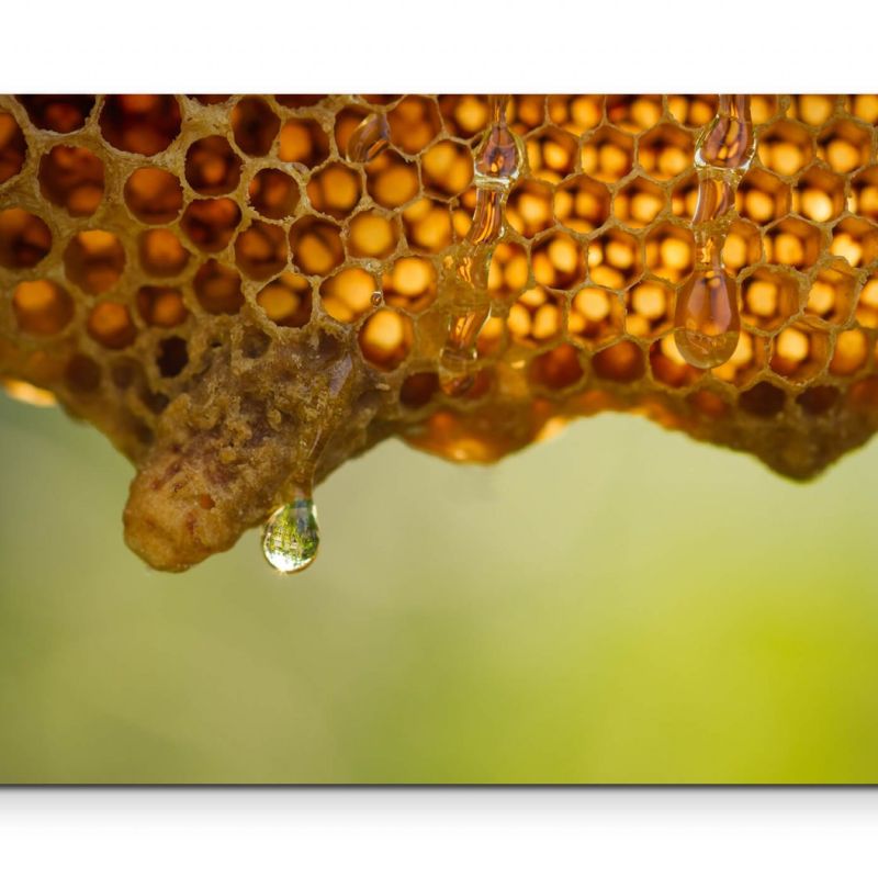 Frischer Bienenhonig – Leinwandbild