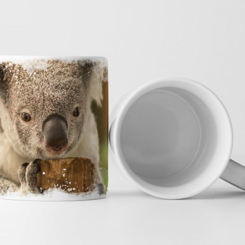 Tasse Geschenk Kleiner Koalabär