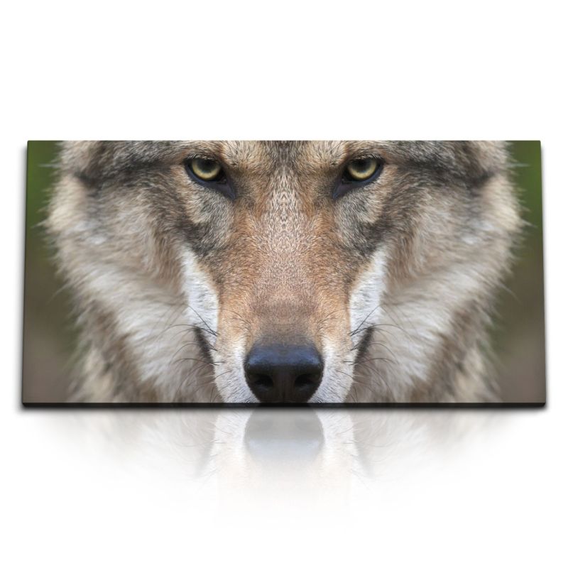 Kunstdruck Bilder 120x60cm Grauer Wolf Tierfotografie Porträt Raubtier