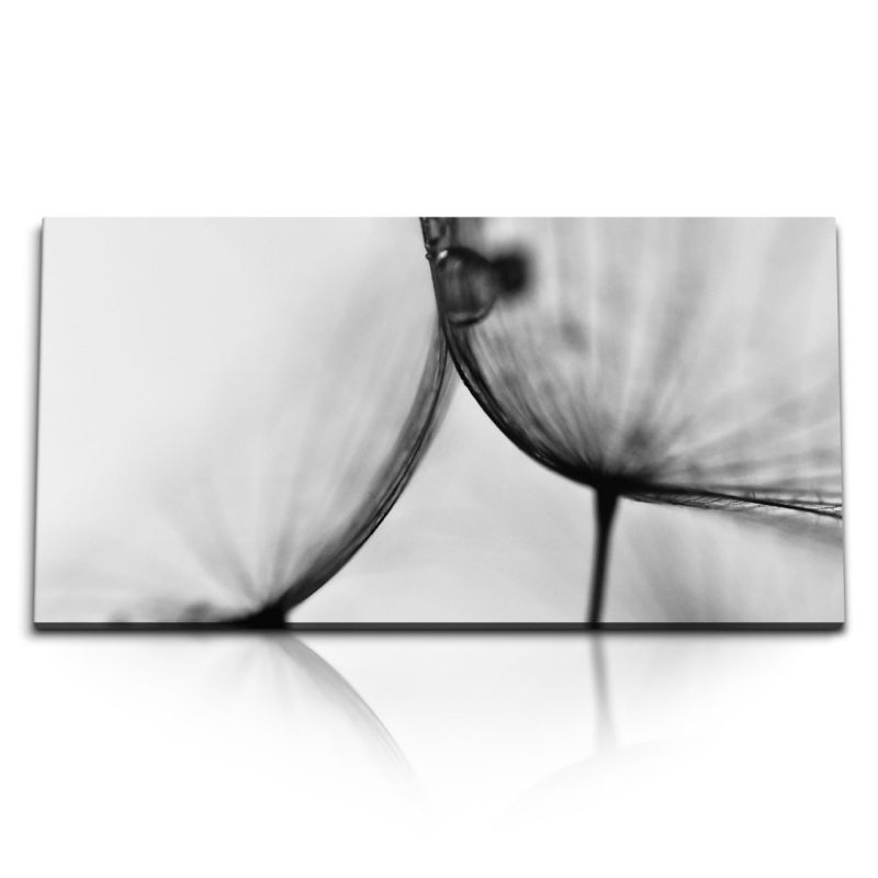 Kunstdruck Bilder 120x60cm Schwarz Weiß Makrofotografie Pusteblume Wassertropfen