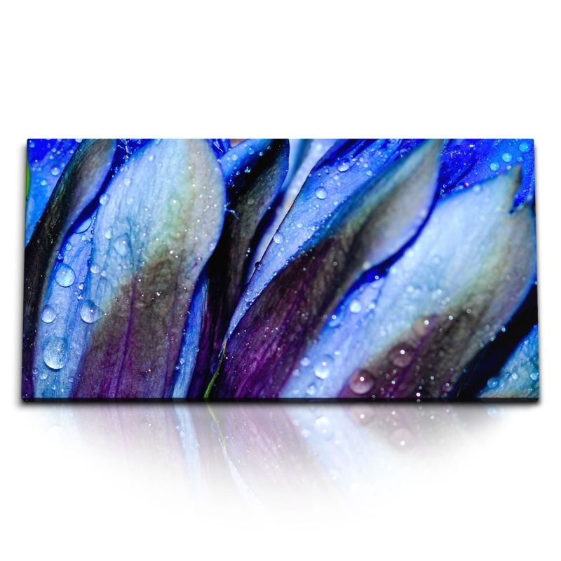 Kunstdruck Bilder 120x60cm Makrofotografie Blumen Blüten Regentropfen Blau