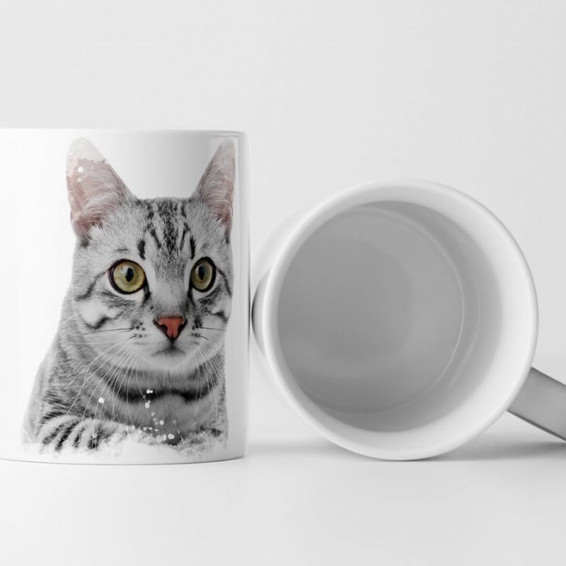 Tasse Geschenk Tierfotografie – Süßes Kätzchen mit weißem Hintergrund