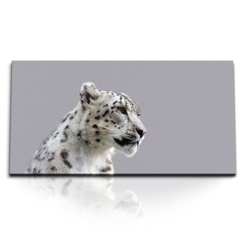 Kunstdruck Bilder 120x60cm Raubkatze Schneeleopard Leopard Tierfotografie