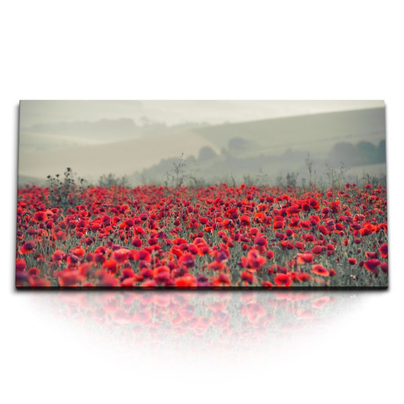 Kunstdruck Bilder 120x60cm Mohnfeld Mohnblumen Feld rote Blumen Blumenfeld