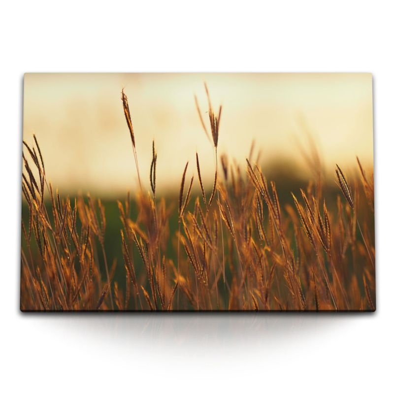 120x80cm Wandbild auf Leinwand Weizenfeld Weizen Feld Natur Abenddämmerung Sonnenuntergang